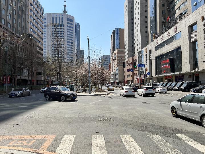 图为13日上午的沈阳市和平大街.