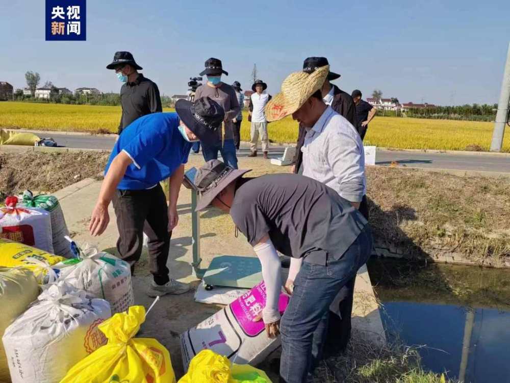 
南京市口腔医院黄牛代挂号电话票贩子号贩子网上预约挂号,住院检查加快,​安徽水稻亩单产纪录刷新 亩单产最高1148.2公斤