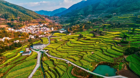 半月谈基层治理智库报告:奉化“推进共同富裕工作法”来了!