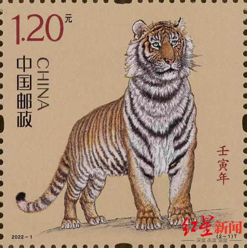 虎年生肖邮票满脸愁容？作者：做了拟人化处理