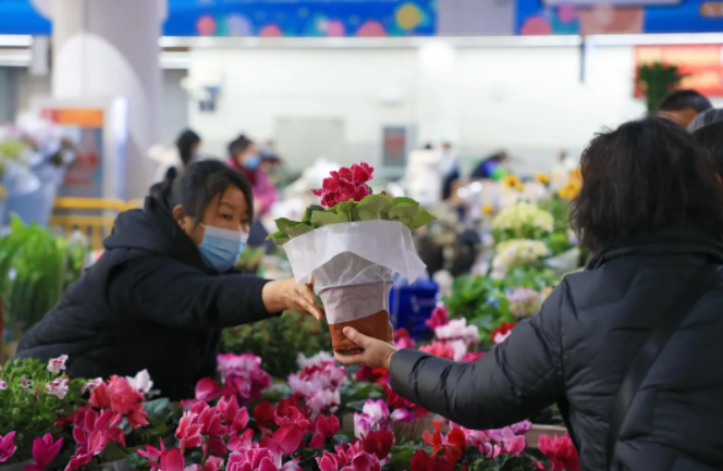 一起"郁"见"梅"好 - 新华社客户端