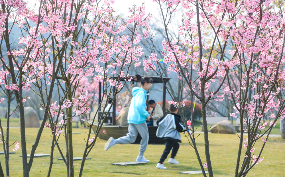 多地氣溫回升，人們樂享春光