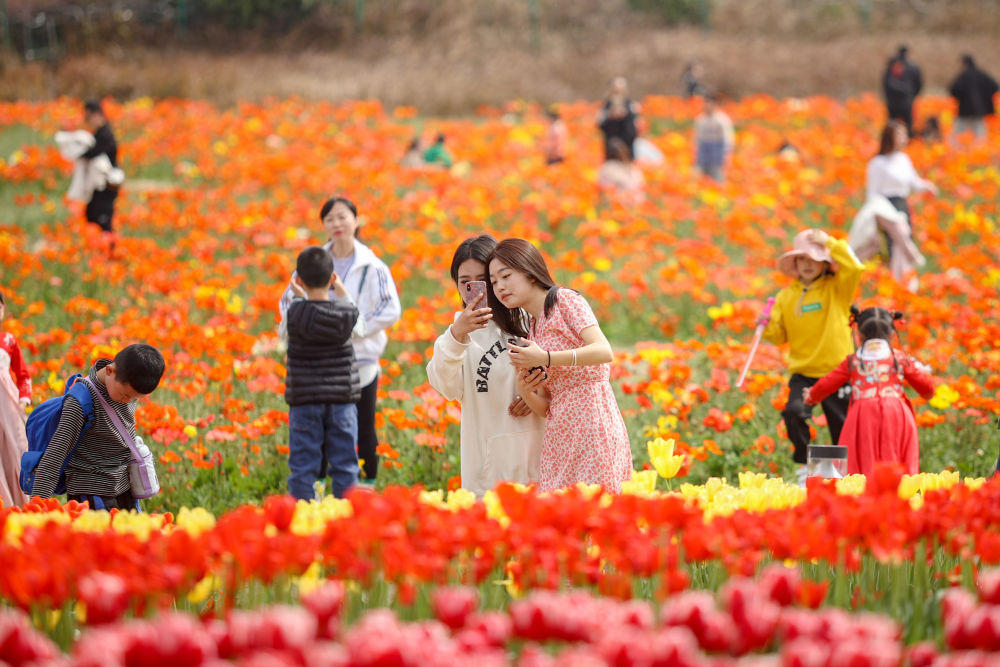多地氣溫回升，人們樂享春光