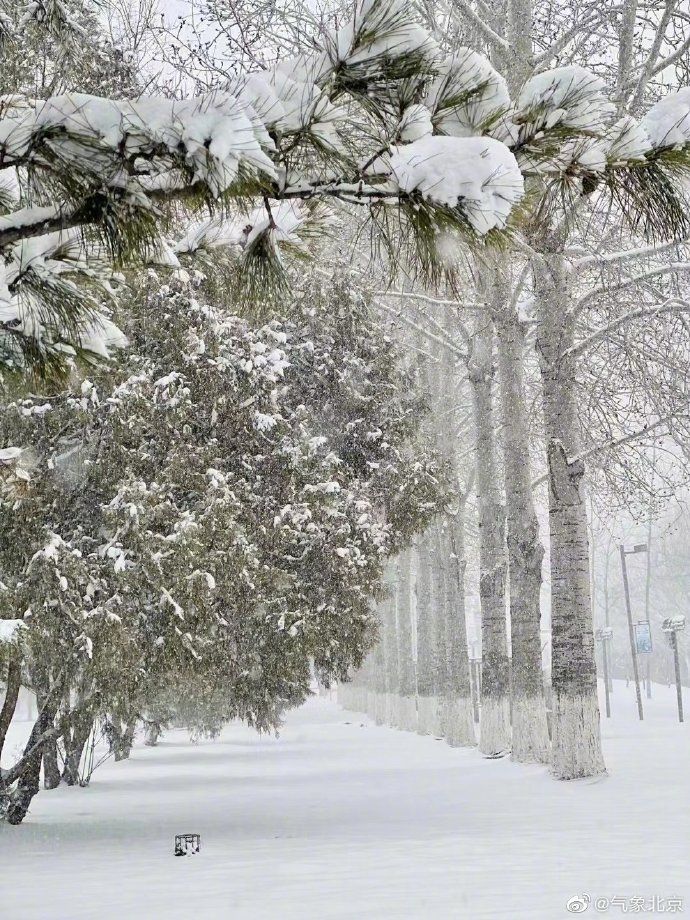 大雪纷飞银装素裹北京春雪美如画