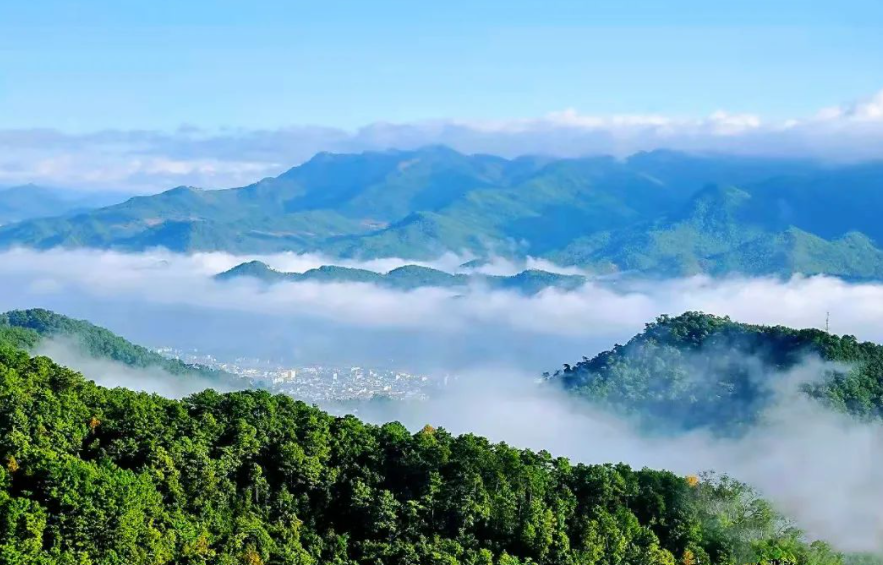 "只此青绿" 普洱景东画卷里最亮的底色_峨山县融媒体中心