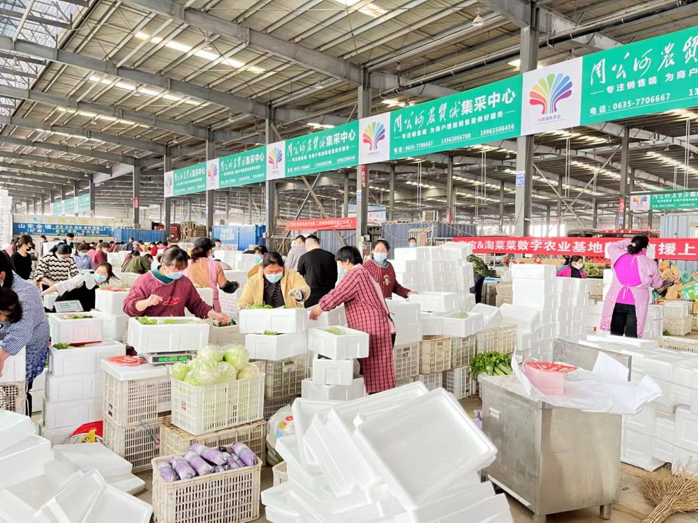100万斤蔬菜陆续抵沪 山东多地农产品基地直供上海