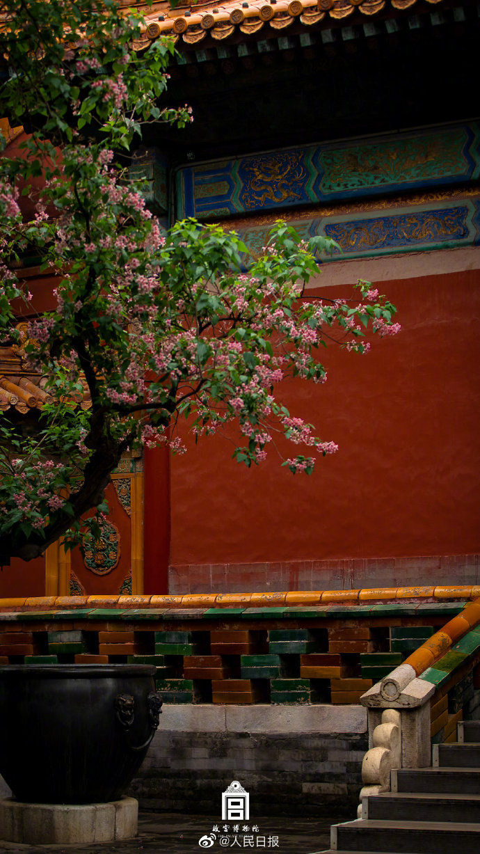 故宫的红墙绿树有多美你准备好进入夏天了吗