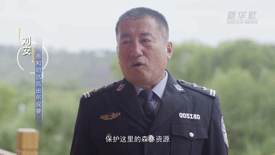 “大美边疆·人物故事”系列微纪录片第二集《守卫在北疆林海》