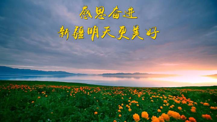 第1视点感恩奋进新疆明天更美好