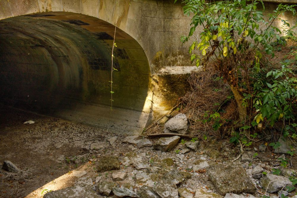英国炎热 泰晤士河源头干涸