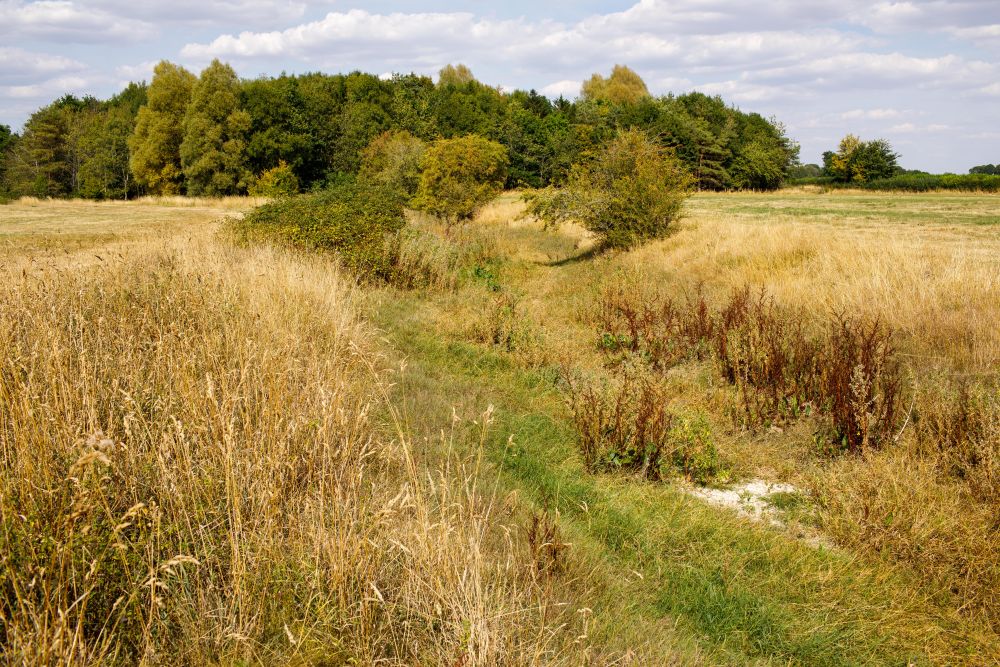 英国炎热 泰晤士河源头干涸