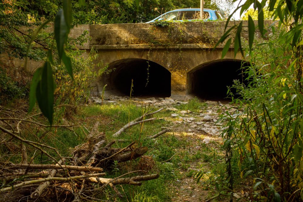 英国炎热 泰晤士河源头干涸