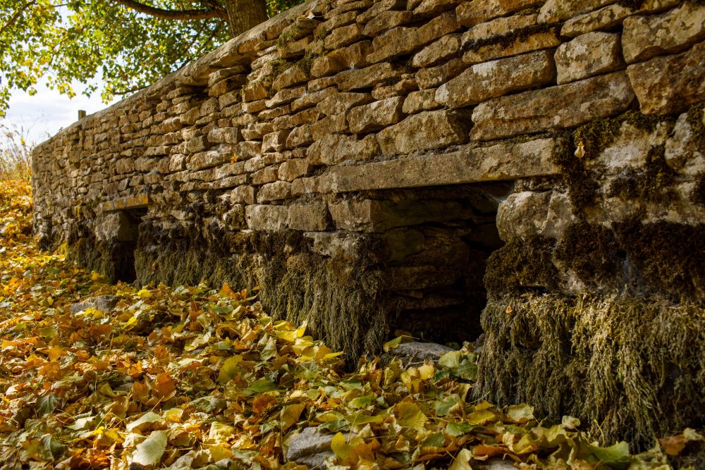 英国炎热 泰晤士河源头干涸