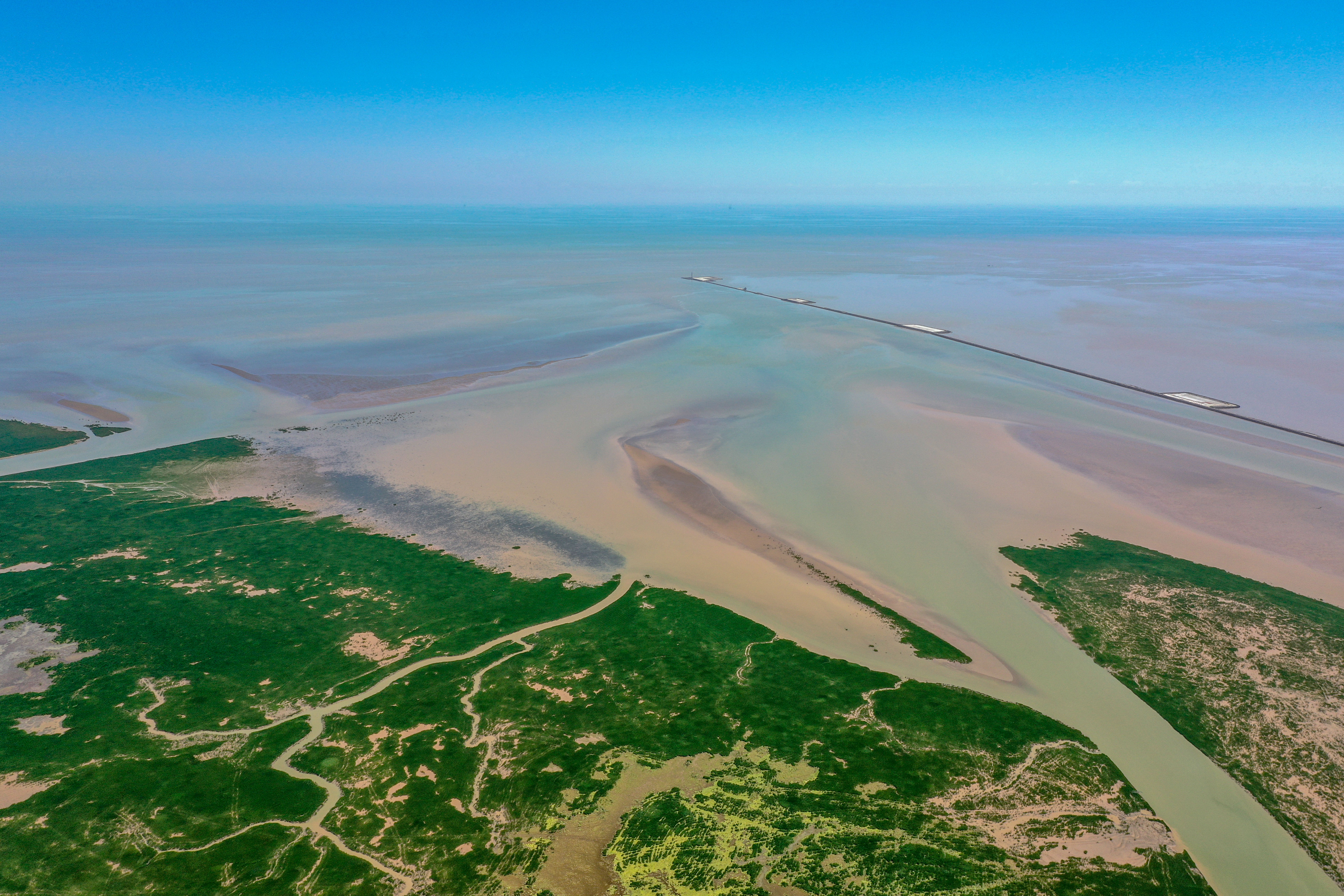 黄河入海口景色图片