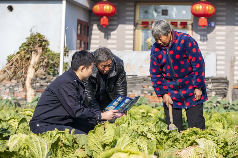 迈出法治中国建设新步伐——新时代推进全面依法治国述评