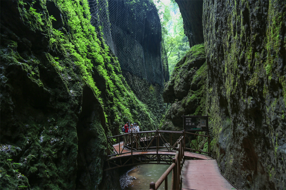 会泽大地缝风景区介绍图片