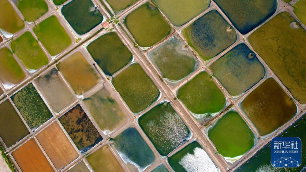 山东荣成初秋多彩盐田