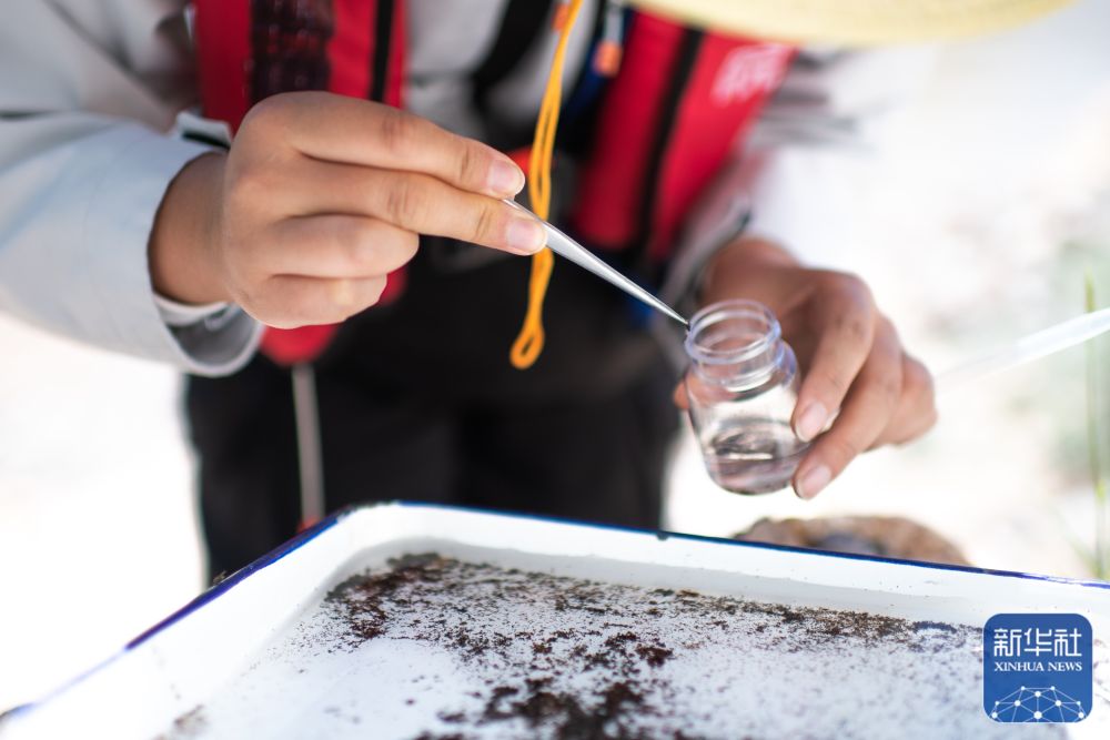 探秘高原水生态“微观世界”