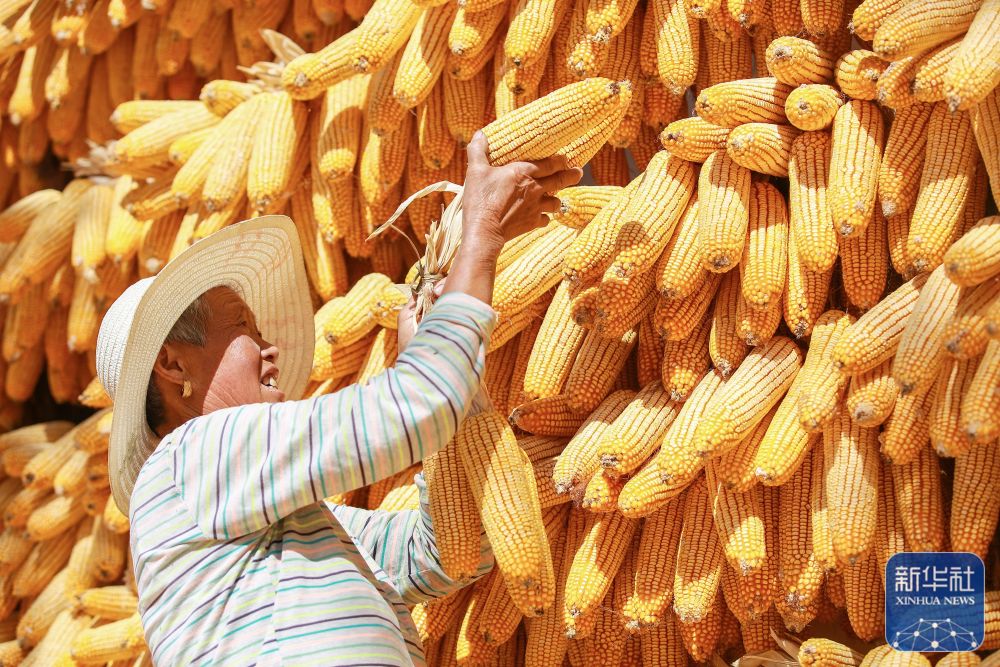 秋日里，各地一派丰收景象