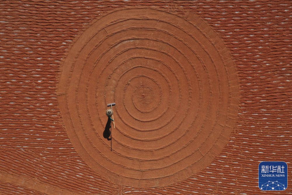 秋日里，各地一派豐收景象