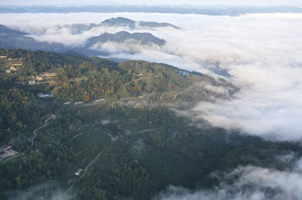 美丽乡村路 助力乡村兴