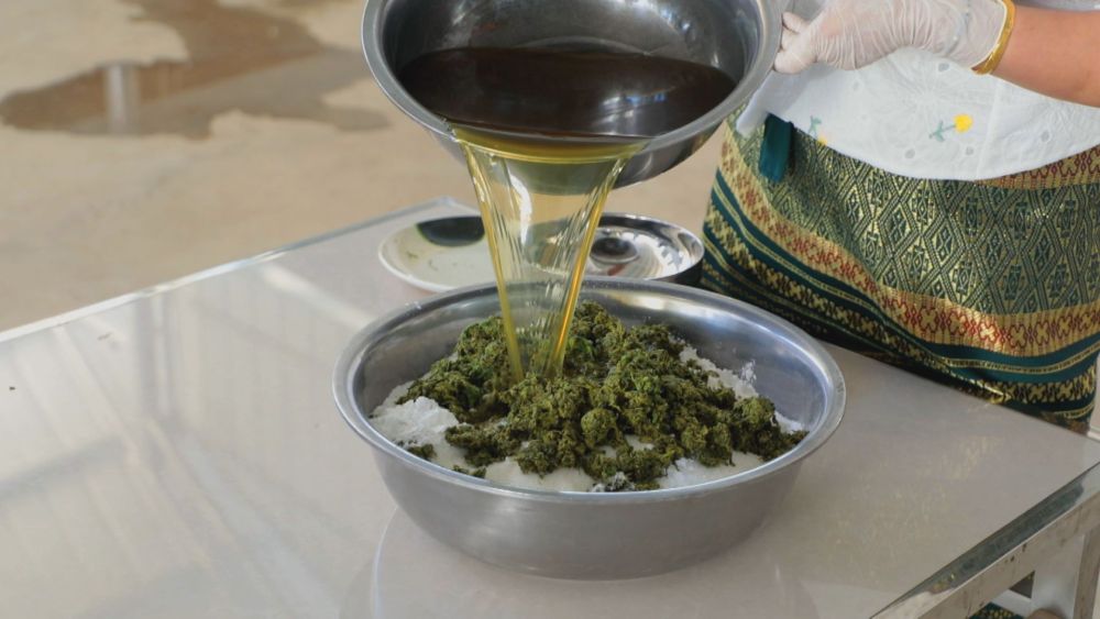 普洱景谷:童年的味道——火草粑粑 - 新华社客户端