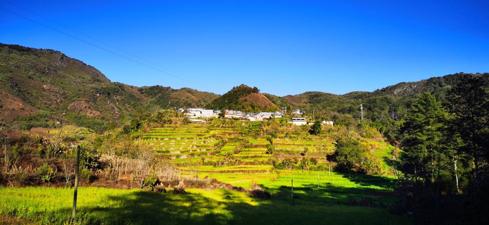 鎮康縣勐捧鎮岔溝村蒿子壩自然村.