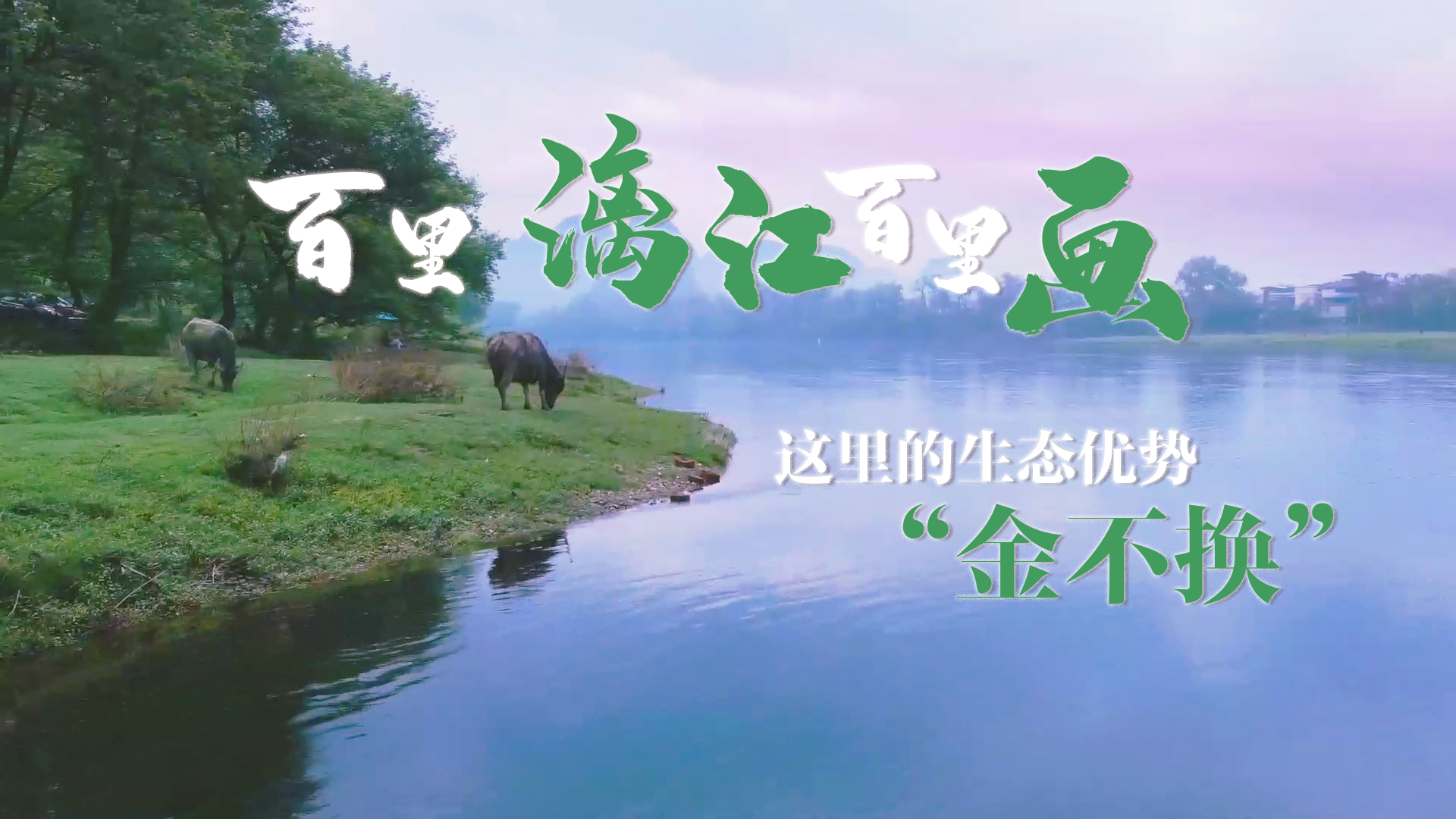 @你，代表委员发起位置共享丨百里漓江百里画——这里的生态优势“金不换”