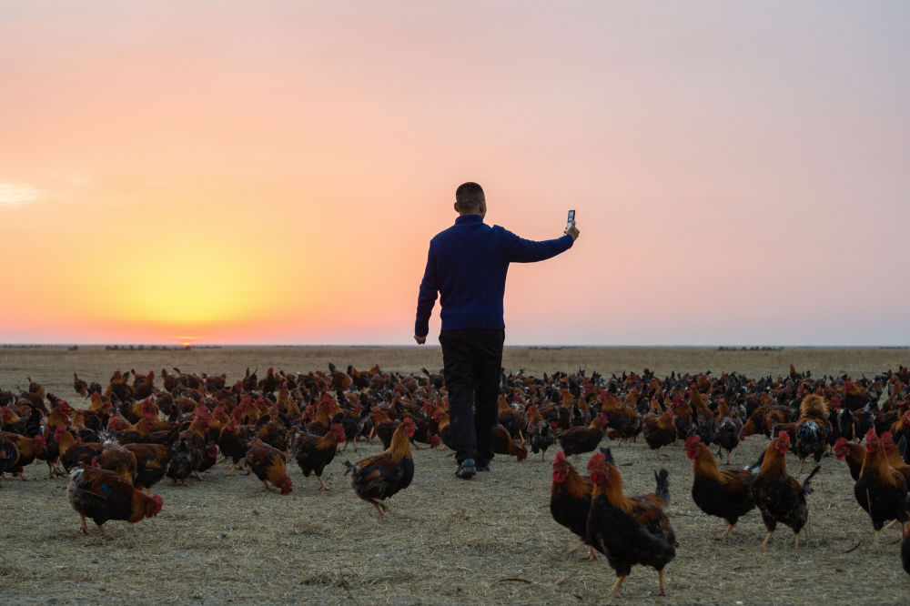新华全媒从劳动背影看奋进中国