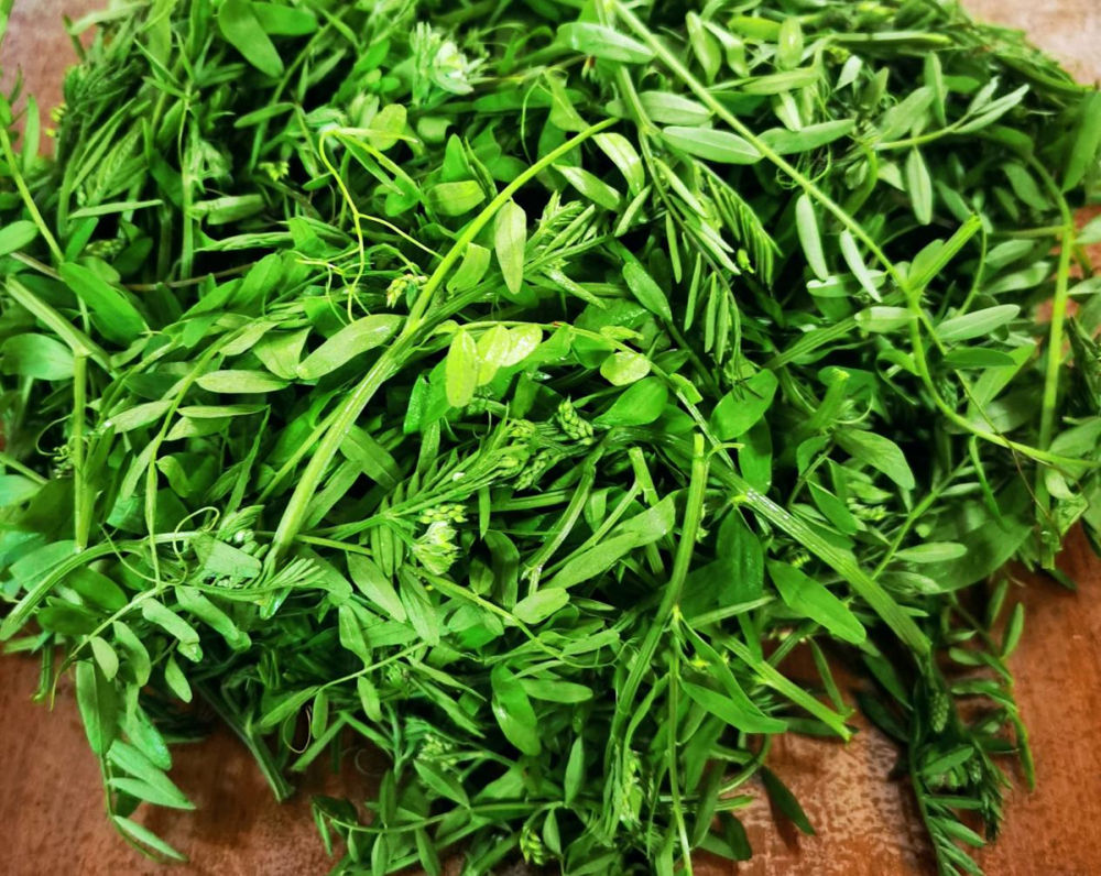 电影操老逼(三级最淫秽毛片)(今日.