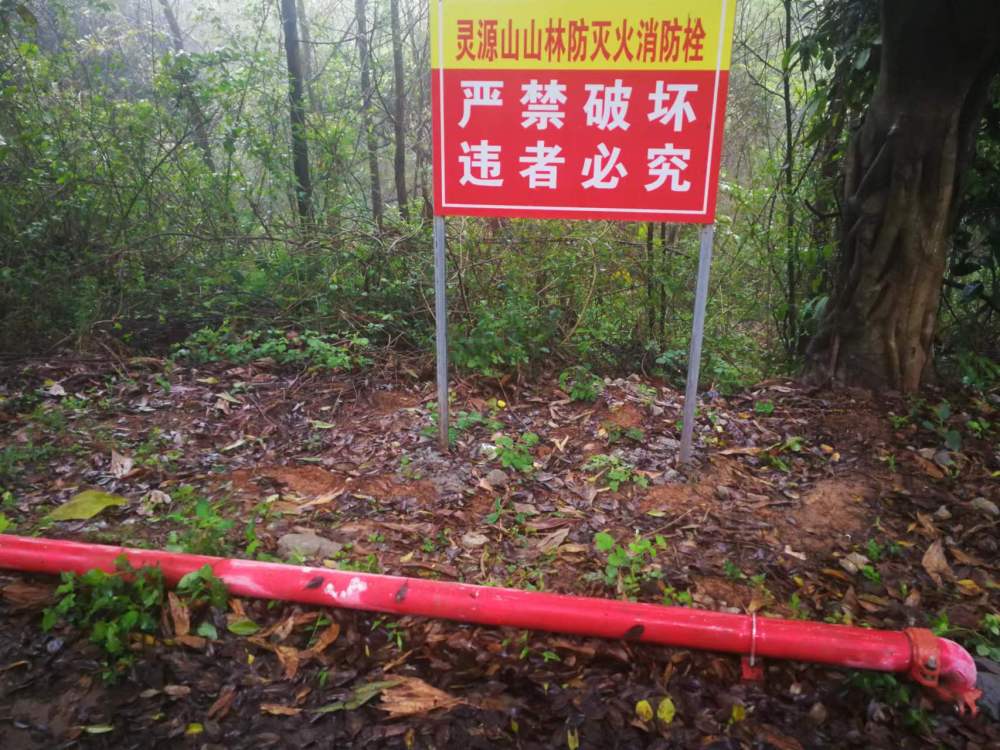“边普查、边应用、边见效”——聚焦第一次全国自然灾害综合风险普查成果应用