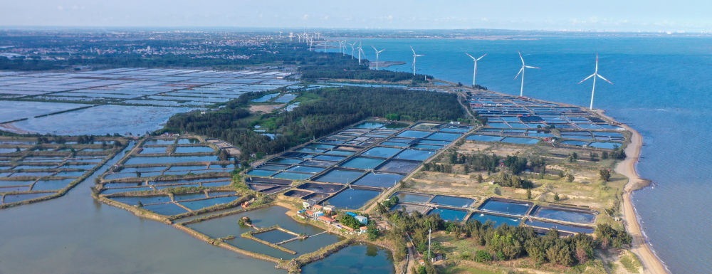 新华社记者毛思倩摄这是5月27日拍摄的"南极村"灯