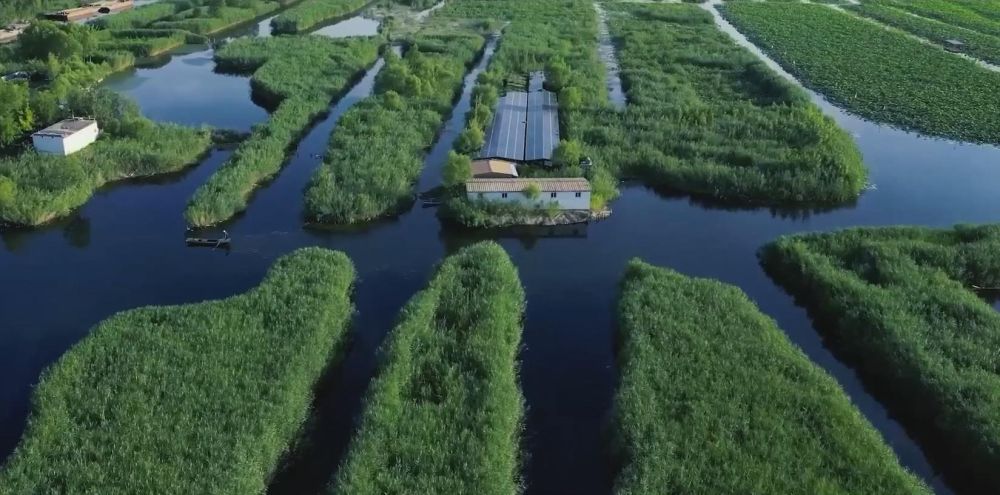 习近平这样擘画“未来之城”