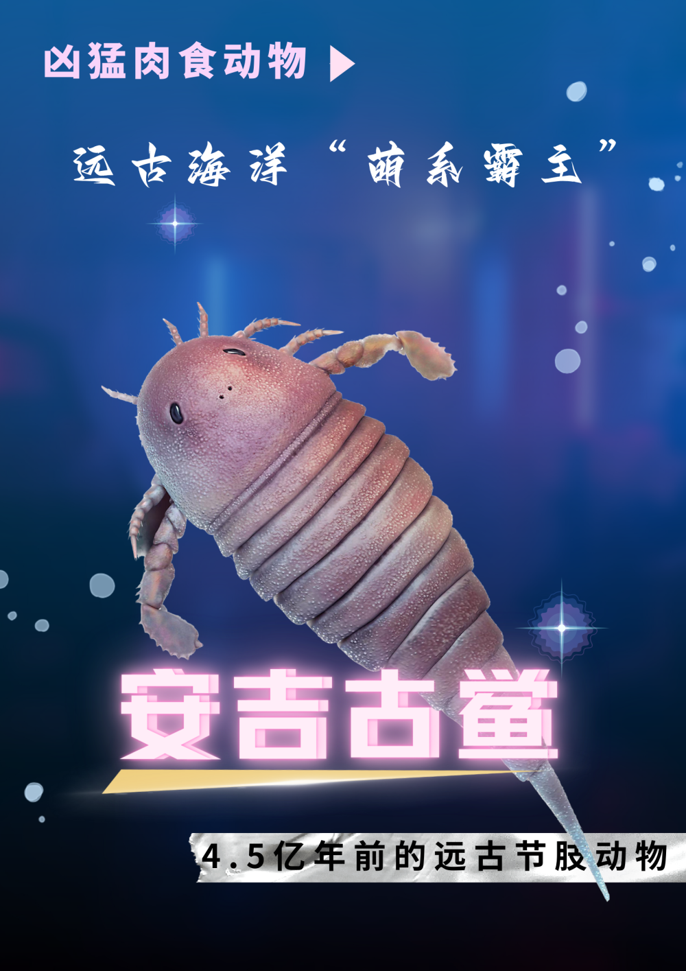 鲎(hòu)来,人们发现了4.5亿年前的海洋“萌系霸主”……