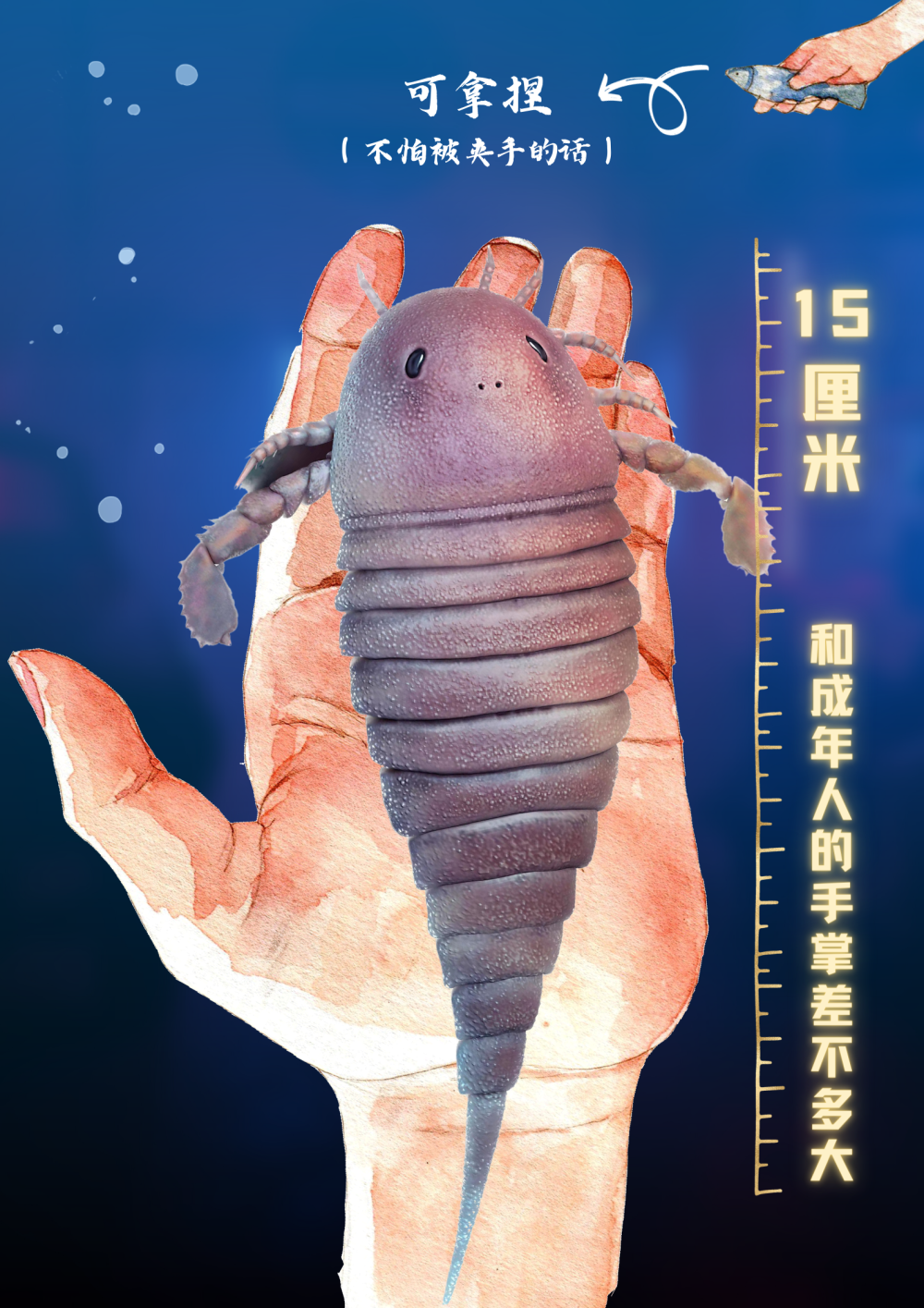 鲎(hòu)来,人们发现了4.5亿年前的海洋“萌系霸主”……