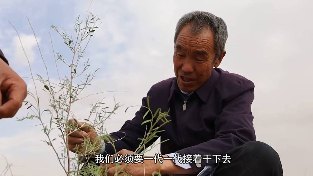 新华视点|敢把沙漠变绿洲 - 新华社客户端