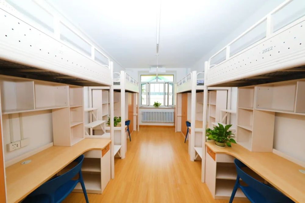 哈工大本科生高质量4人间等你来