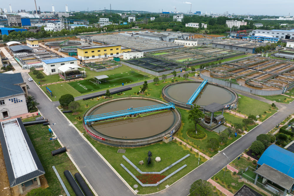 新时代中国调研行长江篇长江大保护从点位治理向系统治理转变