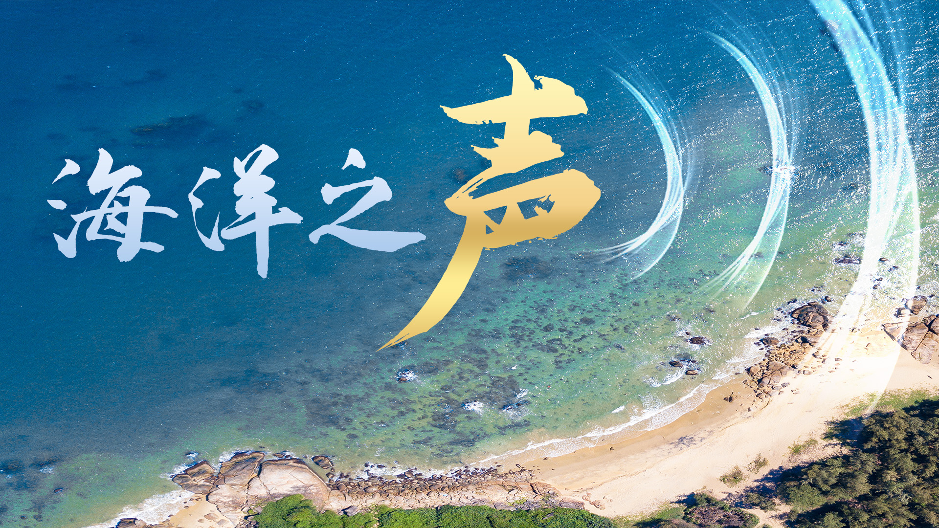 微视频海洋之声