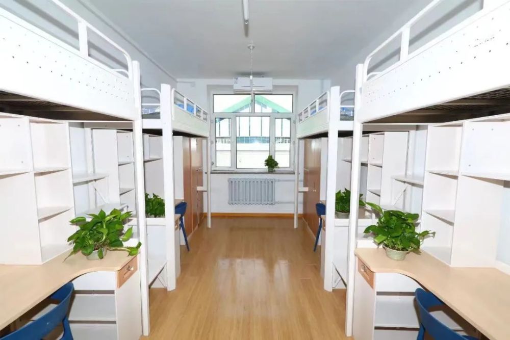 哈工大本科生高质量4人间等你来