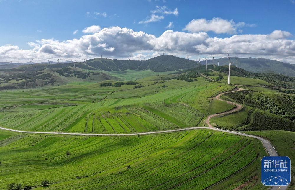 7月14日拍摄的河北省张家口坝上地区沽源县草原天路沿线景色(无鳃机