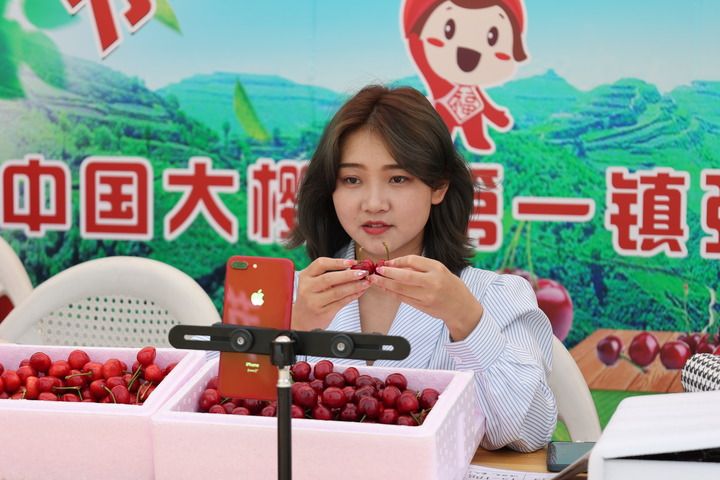 一颗樱桃的“进化论” 一颗樱桃的“进化论”