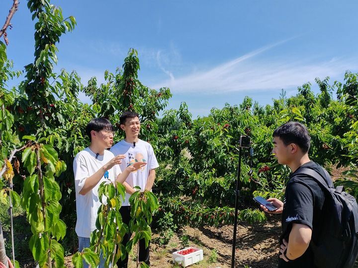一颗樱桃的“进化论” 一颗樱桃的“进化论”