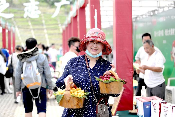 一颗樱桃的“进化论” 一颗樱桃的“进化论”