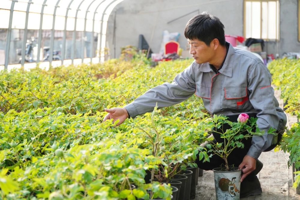 半月谈丨九千“职称农民”带活齐鲁乡村