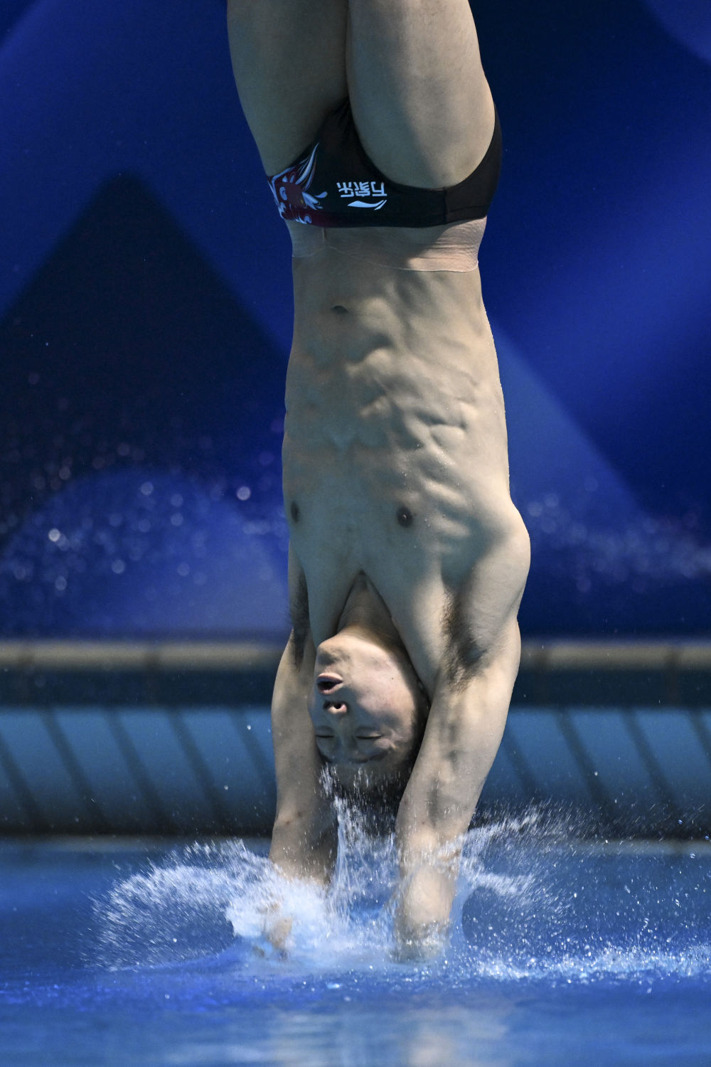 游泳锦标赛中国跳水队再添金 花游王柳懿/王芊懿遗憾摘银