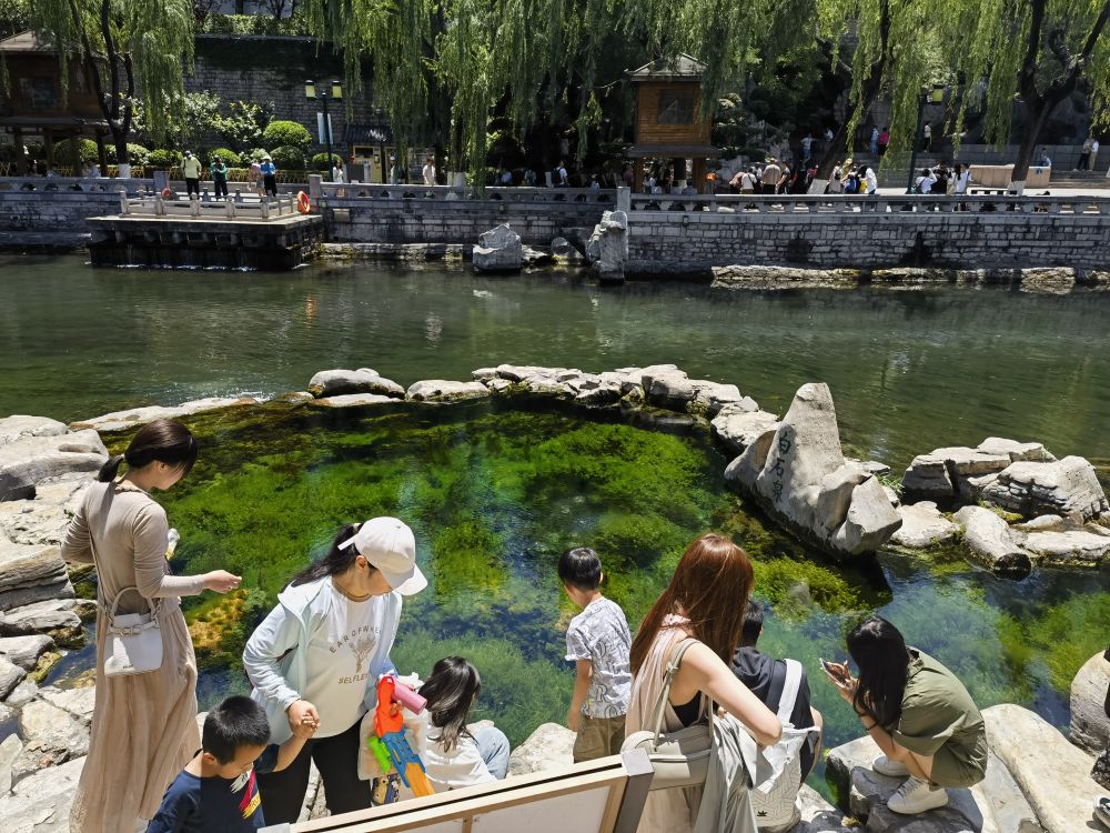 “千泉竞喷”惹人爱!新华社连发两稿点赞“泉城”济南