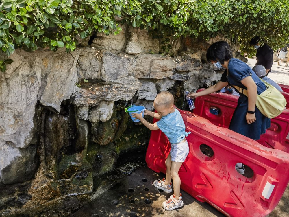 “千泉竞喷”惹人爱!新华社连发两稿点赞“泉城”济南