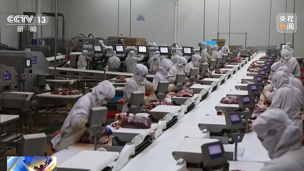 锡盟羊肉加工