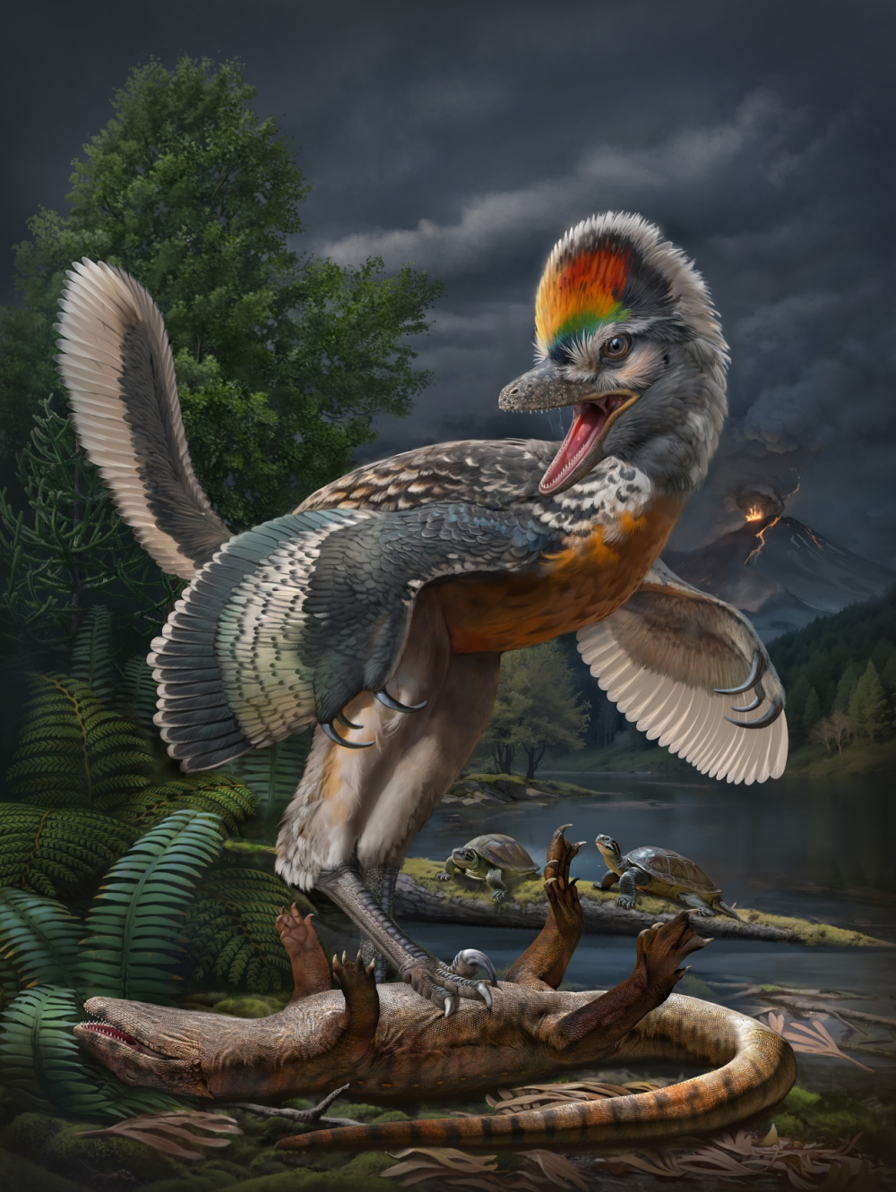 远古发现|福建首次发现恐龙化石奇异福建龙填补鸟类起源的部分空白